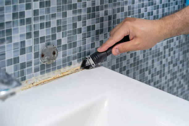 Best Mold Remediation for Specific Building Types in Deland, FL
